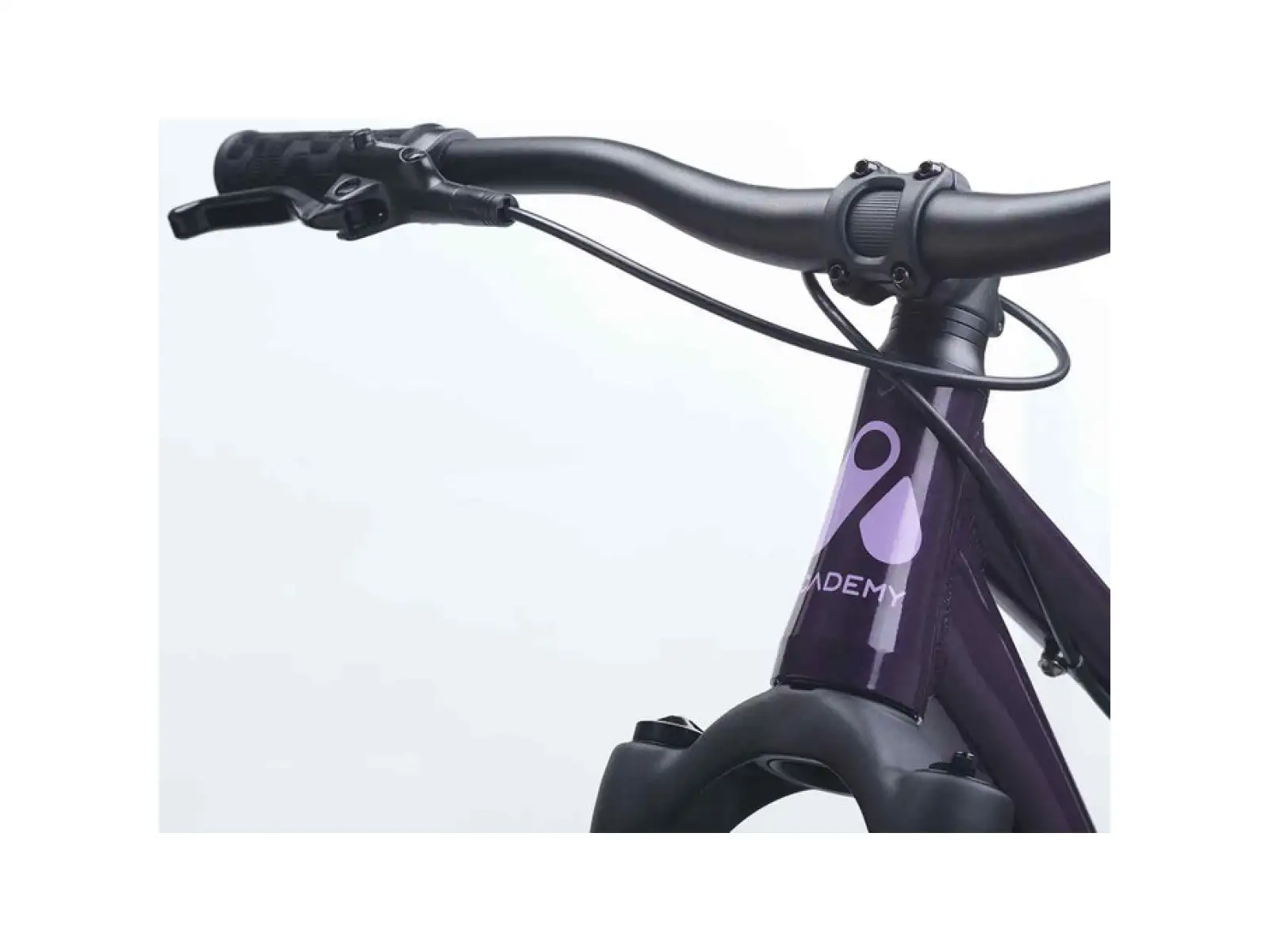 Academy S-Grade Pump 6 detský bicykel 26" fialová
