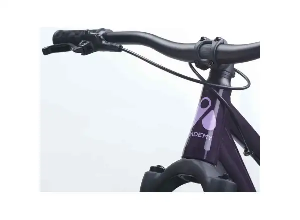 Academy S-Grade Pump 6 detský bicykel 26" fialová