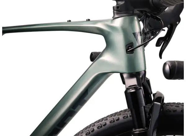 Giant Revolt X Advanced Pro 2 gravel bike Misty Forest