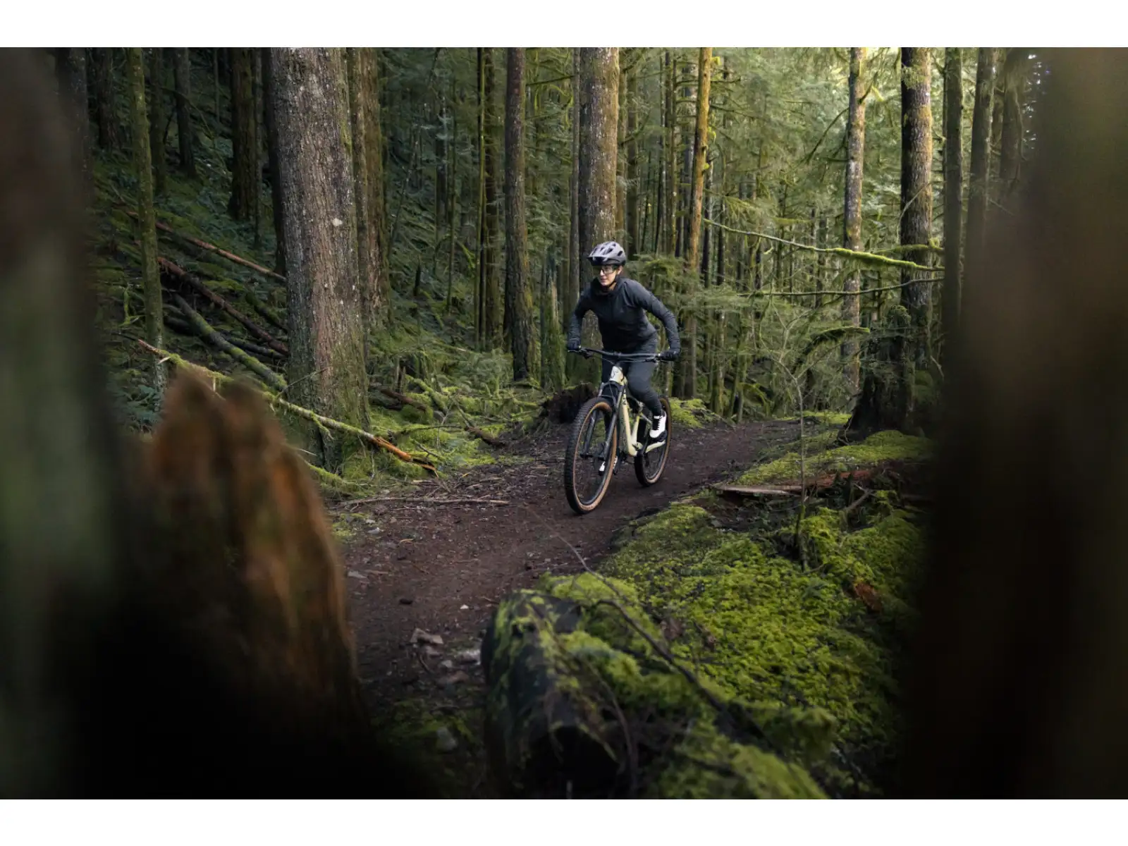 Liv Embolden 2026 horský bicykel Pale Moss