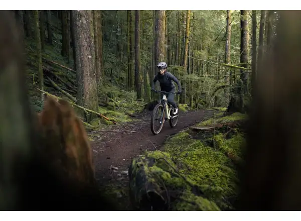 Liv Embolden 2026 horský bicykel Pale Moss