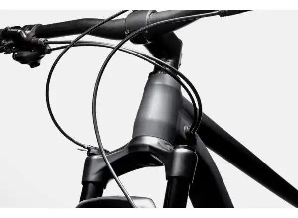 Cannondale Trail SL 4 29" horský bicykel Gray