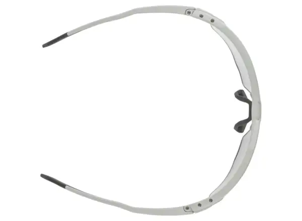 Alpina Twist Six HR V okuliare Smoke/Grey Matt