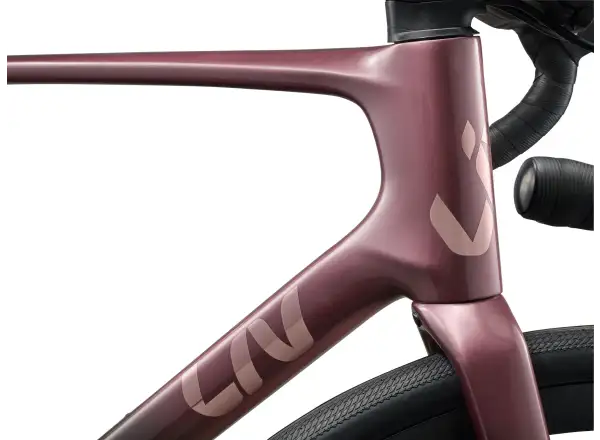 Liv Avail Advanced 1 cestný bicykel Iron Rouge/Carbon