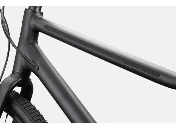 Cannondale Treadwell 2 Ltd RAW fitness bicykel