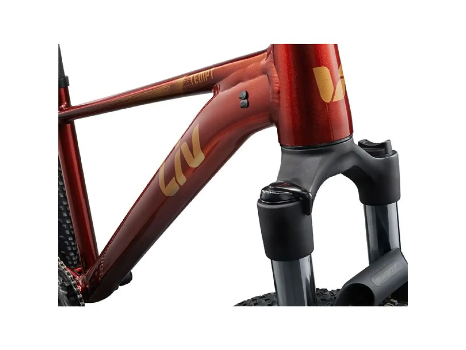 Giant Tempt 29 2 horský bicykel Mars Dust