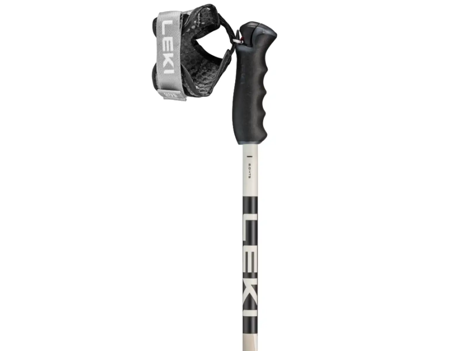 Leki Detect S Vario zjazdové palice Warm Grey Light/Warm Grey Dark/Black