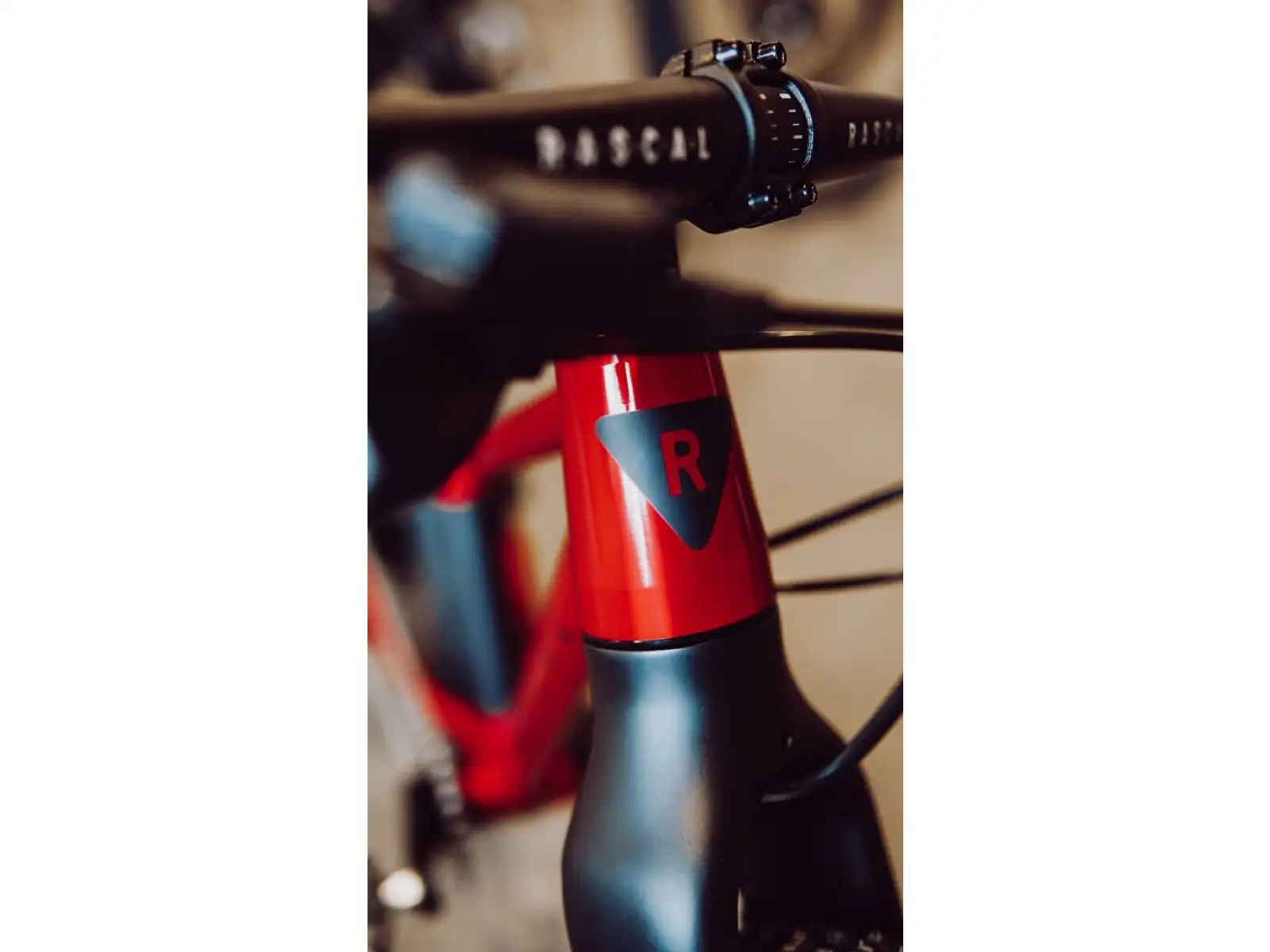 Rascal Wild 20 detský bicykel Ruby Red