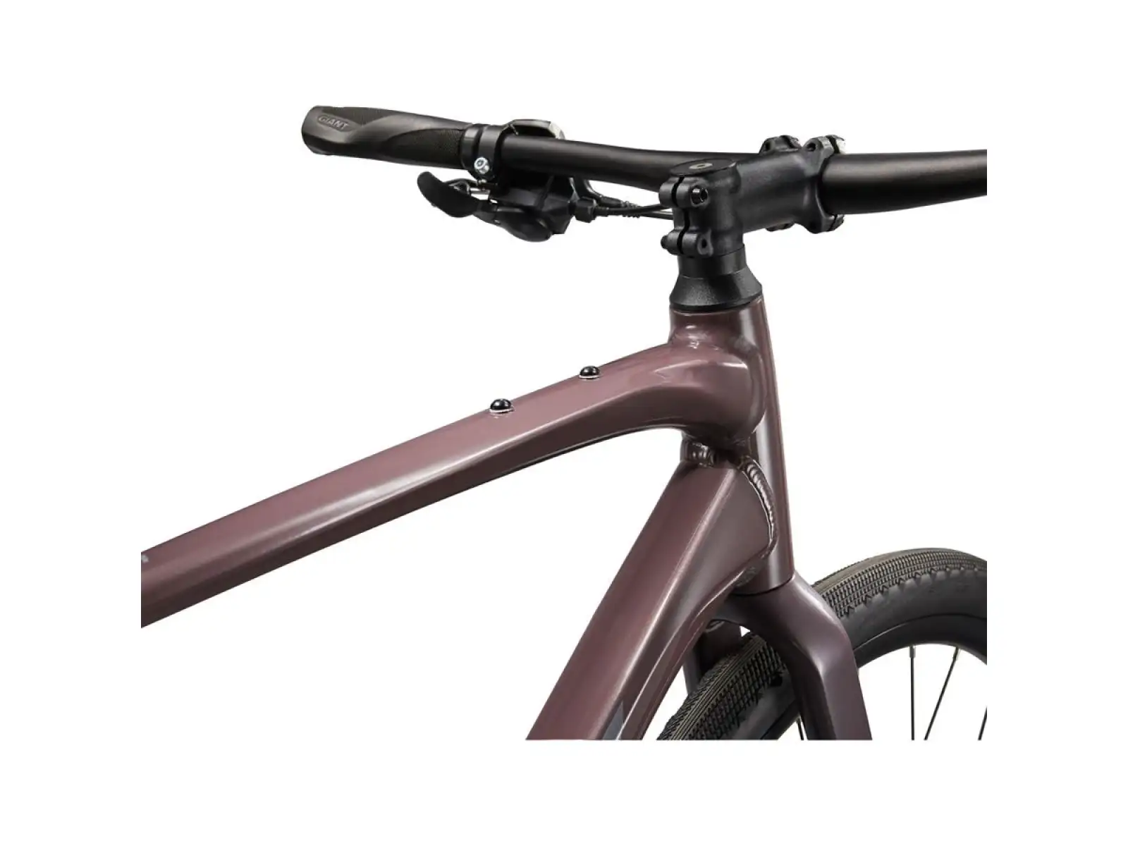 Giant FastRoad AR 3 trekingový bicykel Charcoal Plum