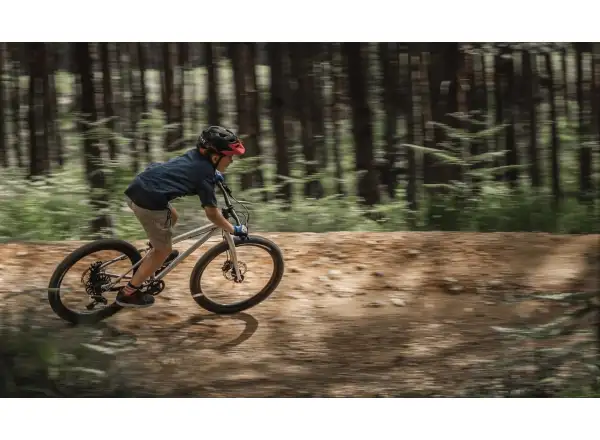 Early Rider Seeker 24 detský bicykel Brushed Aluminium