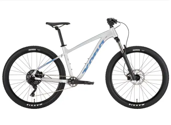 Kona 36e Fire Mountain horský bicykel Silver