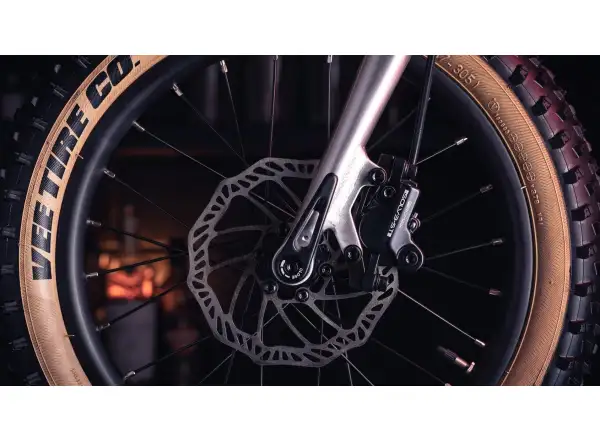 Early Rider Hellion 16 detský bicykel Brushed Aluminium