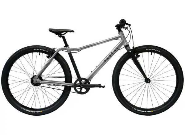 Rascal 26 Titan 3 sp. Shimano Nexus detský bicykel