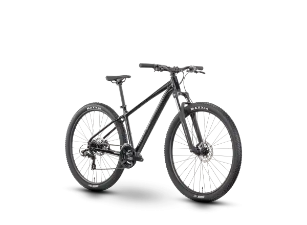 Raymon Nayta 29" horský bicykel Black/Iredesciant Black