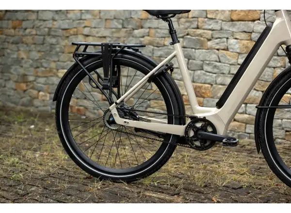 Superior eWAY 6.45 mestský elektrobicykel Gloss Dust