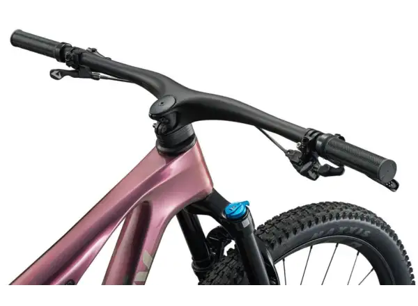 Liv Pique X Advanced SL 3 horský bicykel Mechanic Rose/Carbon