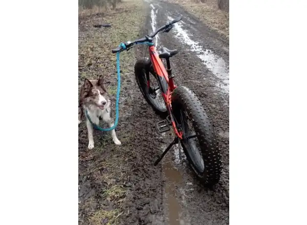 Rock Machine Avalanche INT e70-26 fatbike elektrobicykel Gloss Metallic Orange/Silver