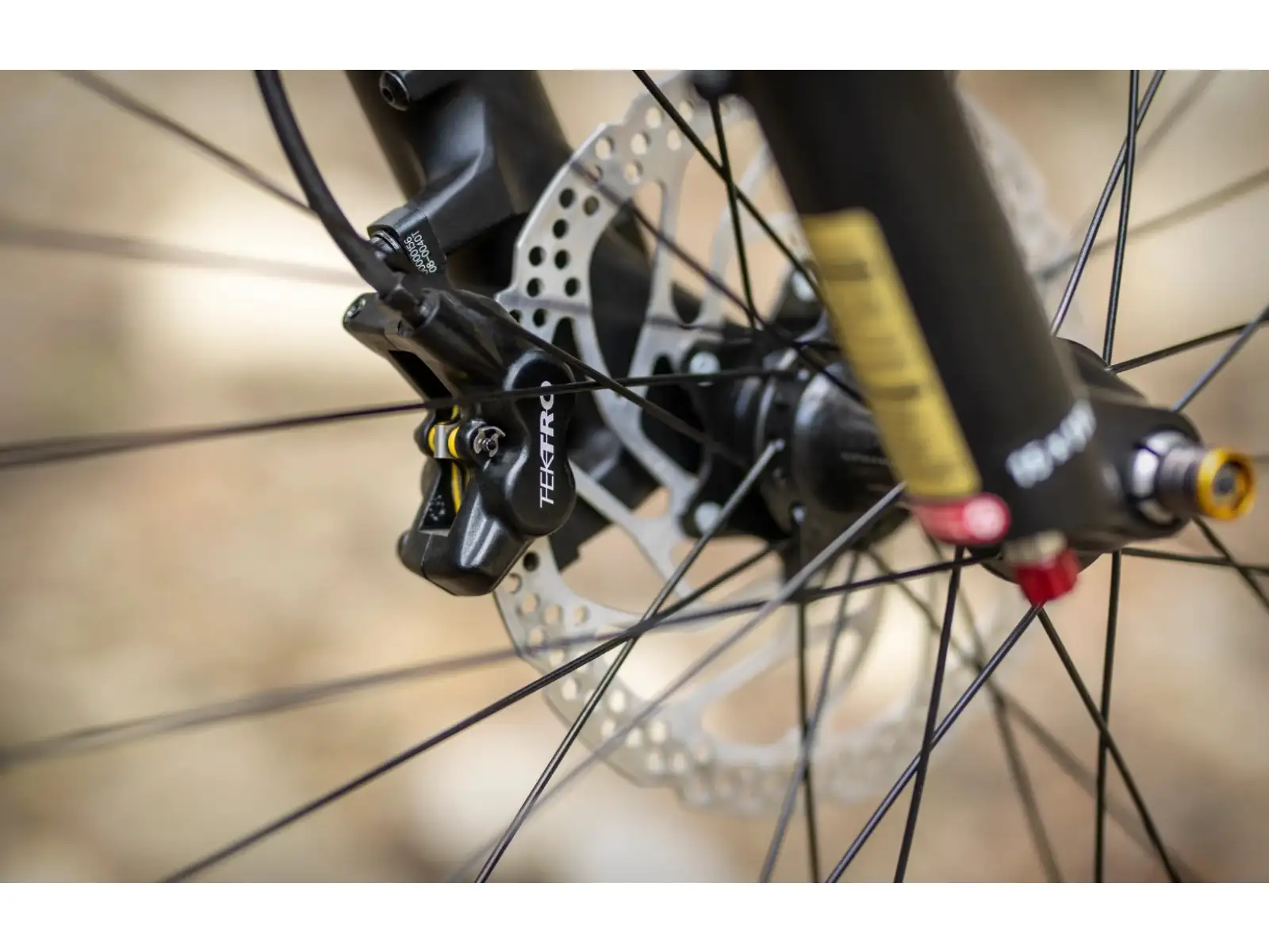 Superior eXP 8089 horský elektrobicykel Matte Olive Metallic/Chrome Silver