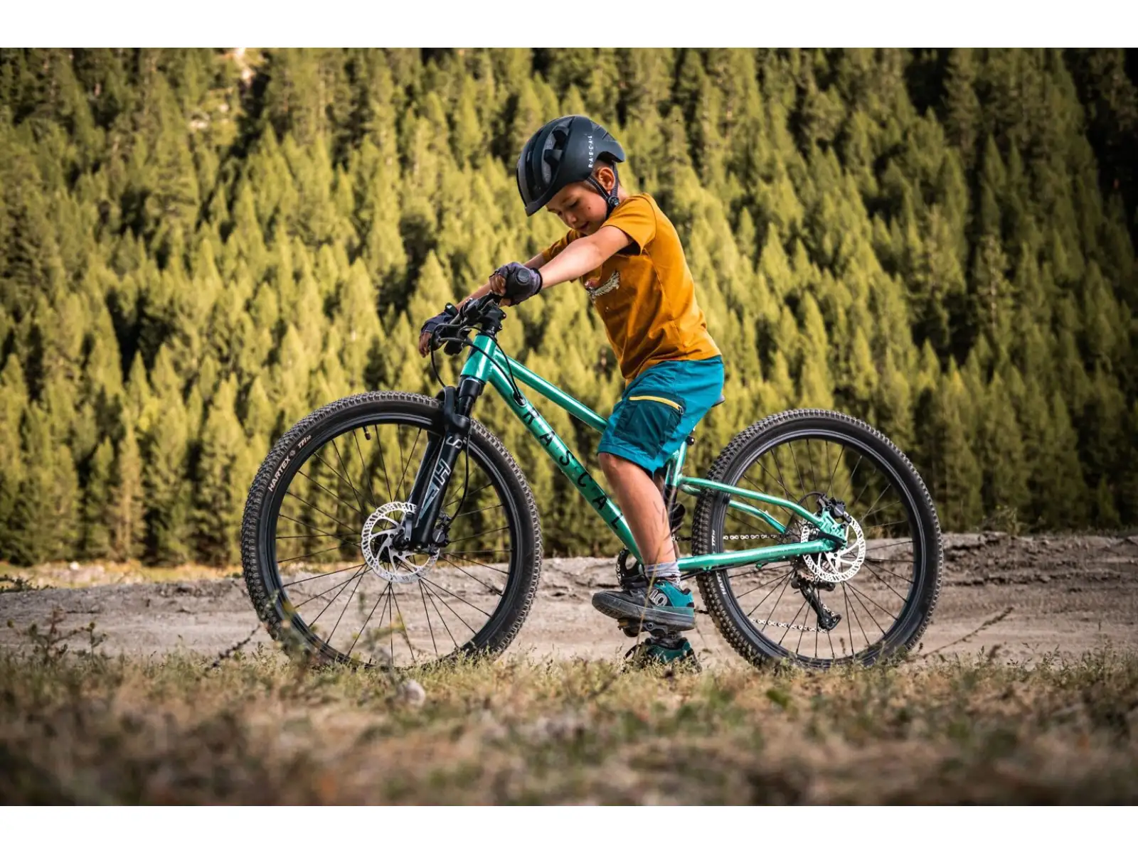 Rascal Wild 24 detský bicykel Emerald