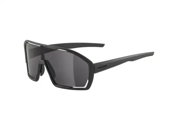 Alpina Bonfire okuliare All Black Matt