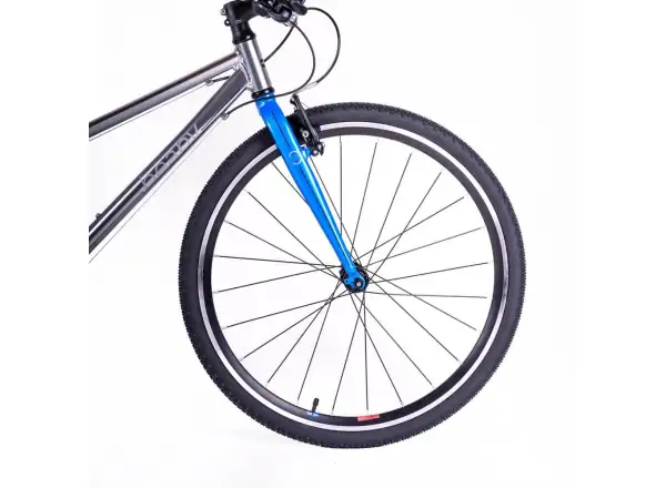 Beany Zero 26 detský bicykel Silver