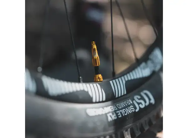 Lezyne CNC TLR čapička ventilu silver