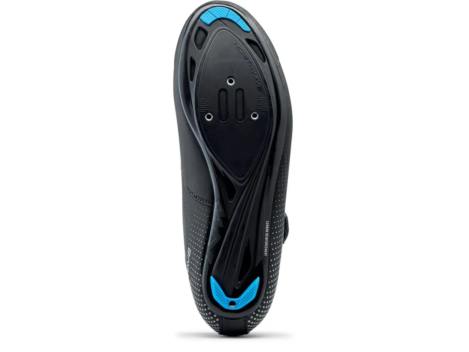 Northwave Celsius R Arctic GTX pánske zimné cestné tretry Black