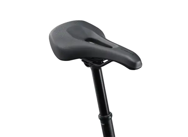 Liv Tempt 0 dámsky horský bicykel 29"  Asphalt Green