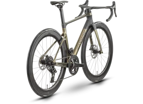 Raymon Arva Elite 26s Record cestný bicykel carbon/champagne