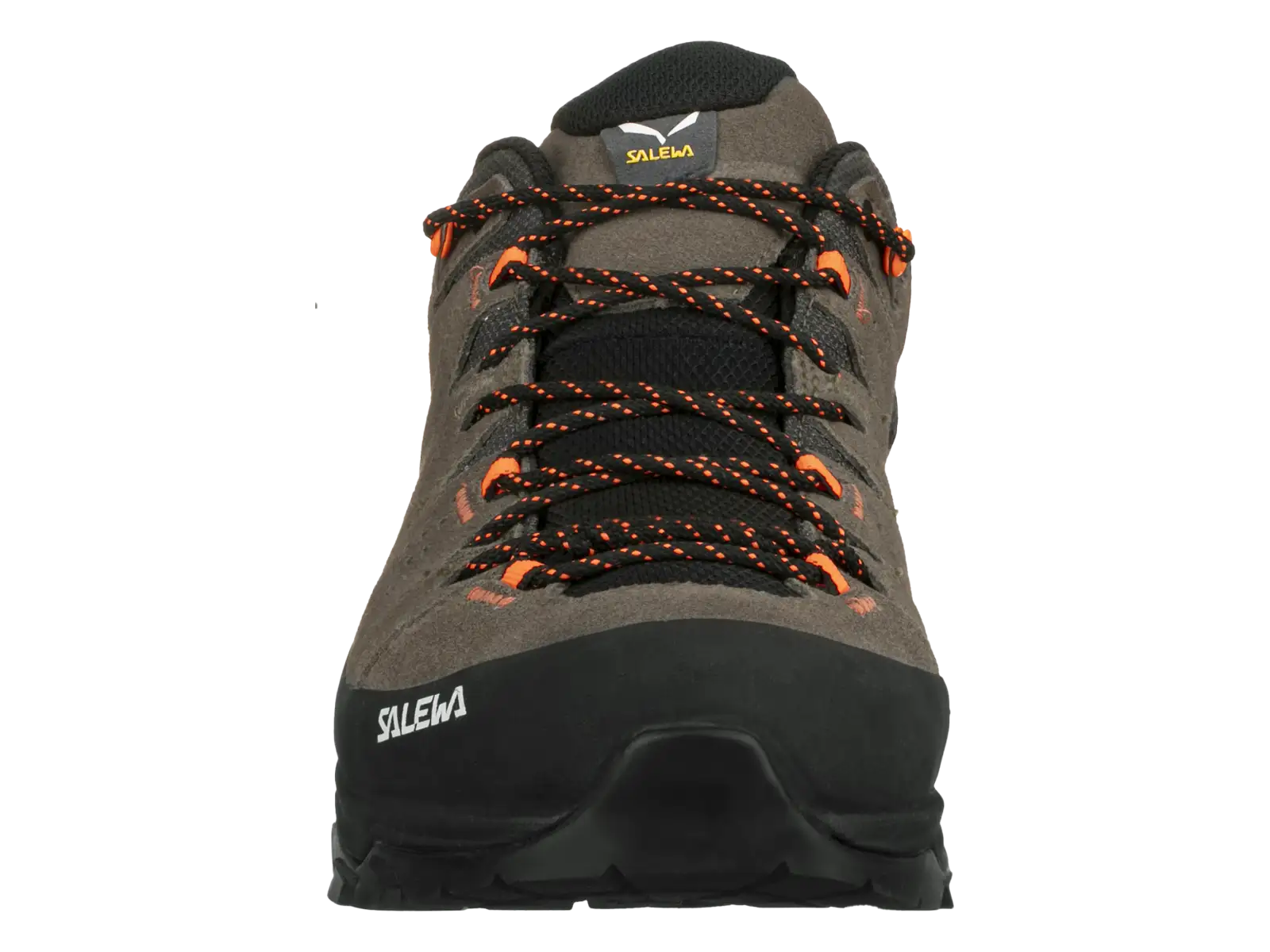 Salewa Alp Trainer 2 GTX pánske topánky Bungee Cord/Black