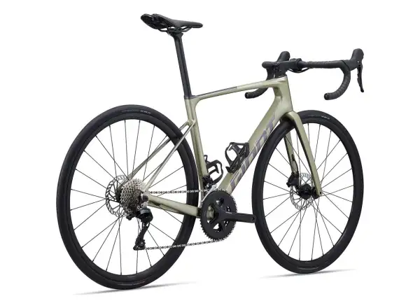 Cestný bicykel Giant Defy Advanced 2 bay leaf