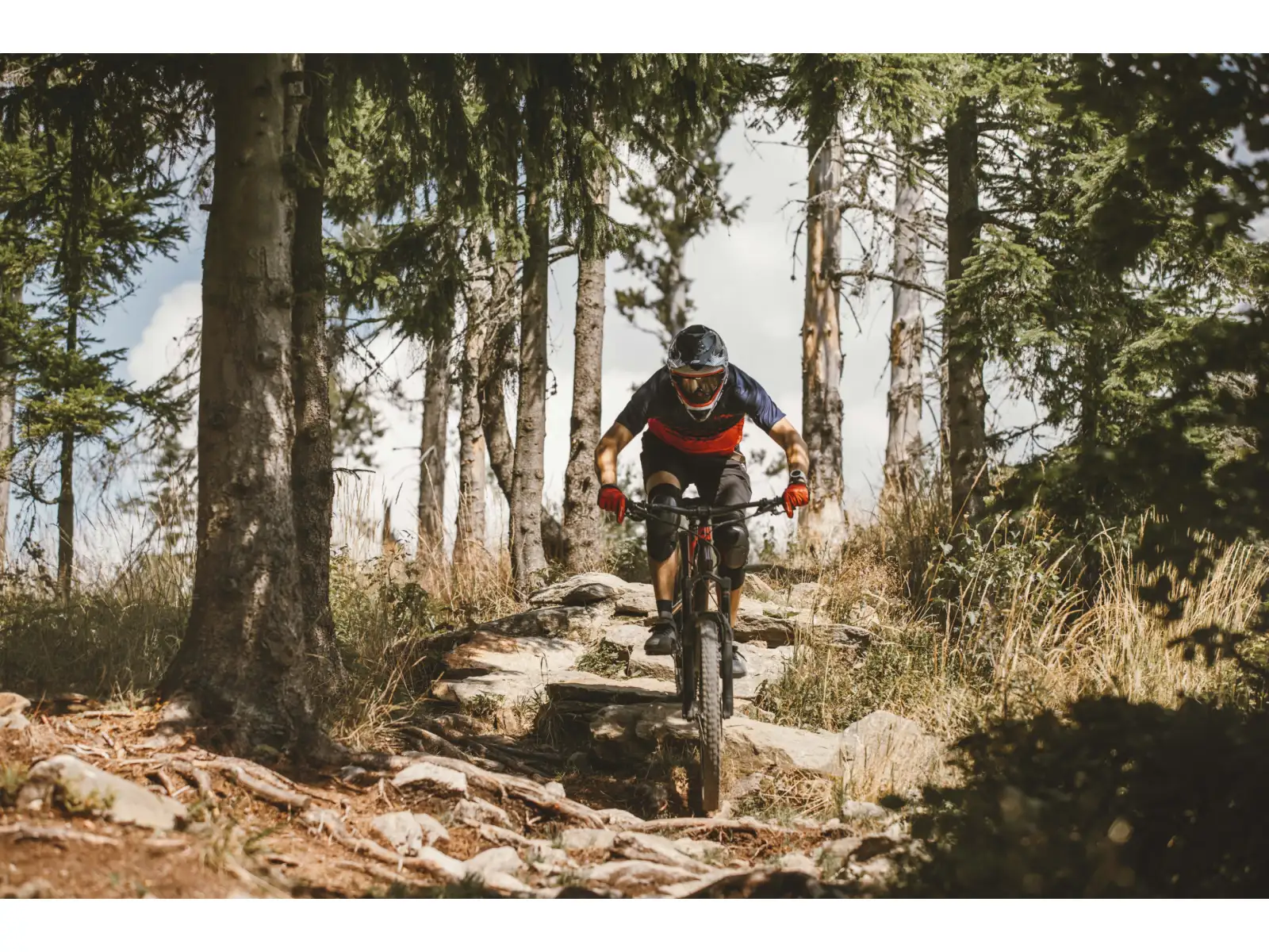 Force Angle MTB pánsky dres krátky rukáv modrá/červená