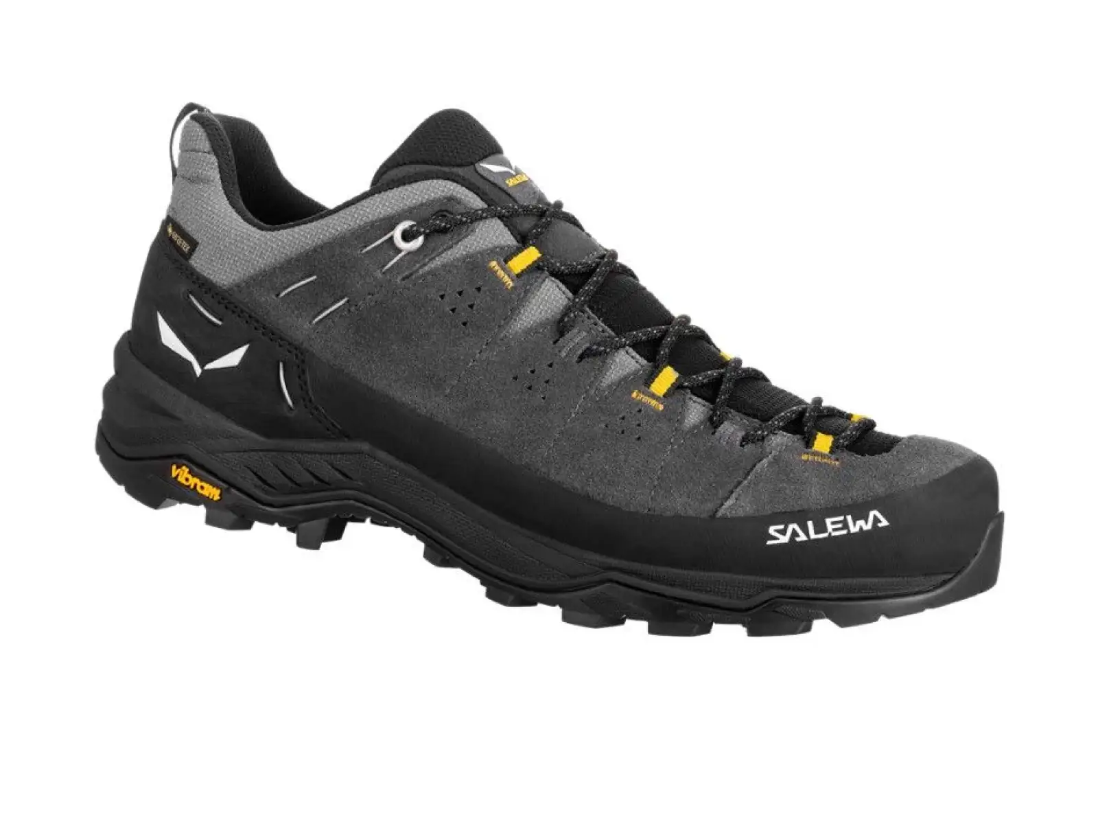 Salewa Alp Trainer 2 Gore-Tex pánska obuv Onyx Black
