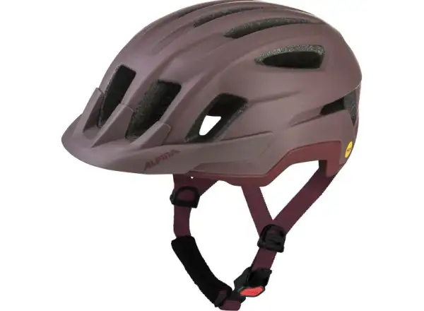 Alpina Paranus Mips prilba Raisin Matt
