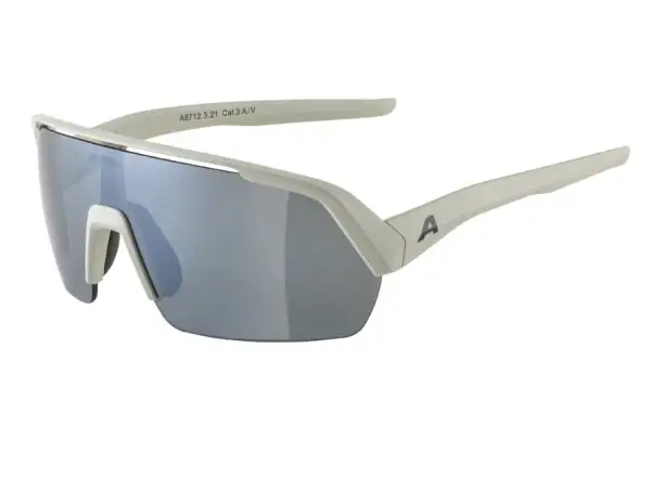 Alpina Turbo HR okuliare Cool/Grey Matt