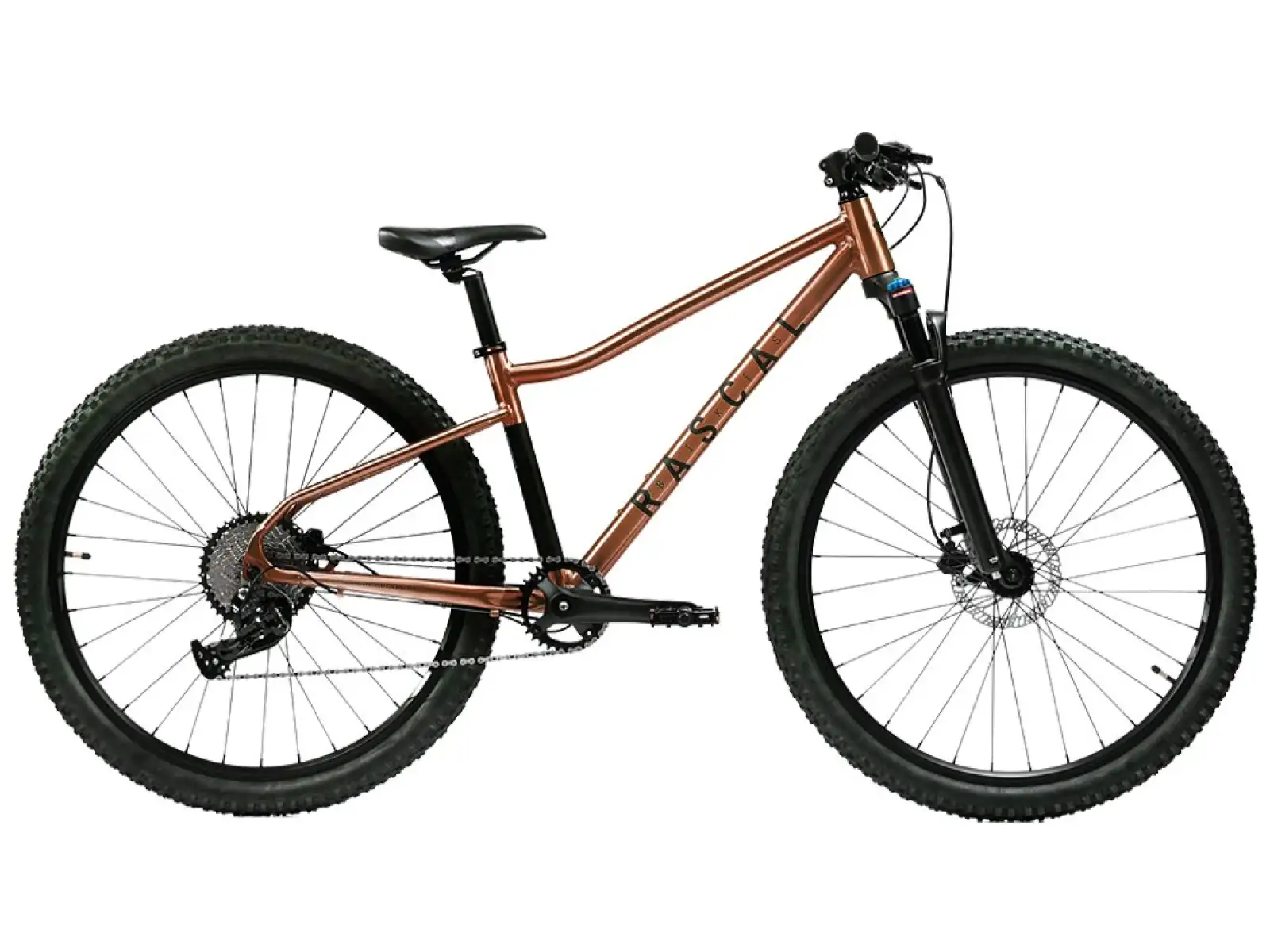 Rascal Wild 29 detský bicykel Bronze