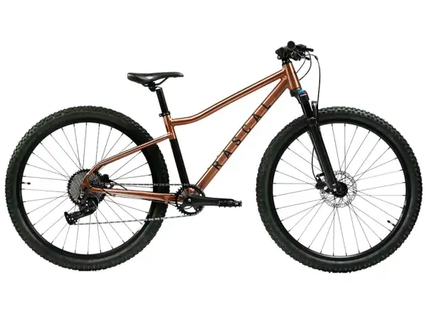Rascal Wild 29 detský bicykel Bronze