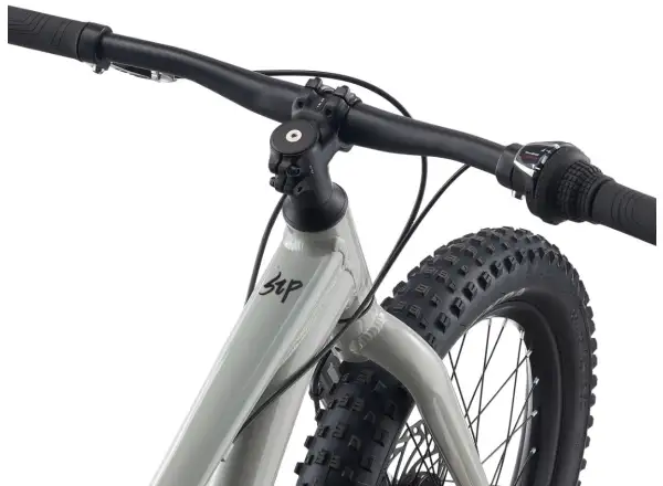 Giant STP 20 detský bicykel Concrete