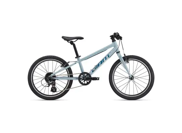 Giant ARX 20 detský bicykel Soap Suds