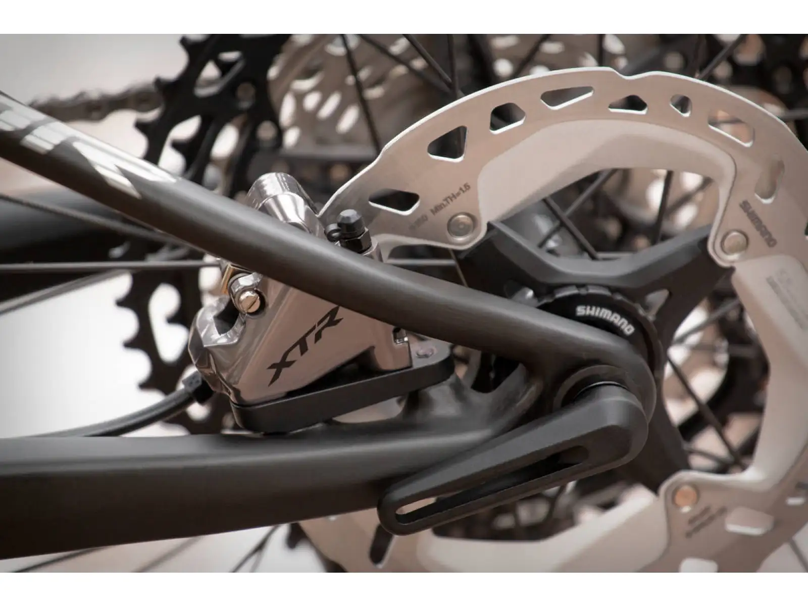 Superior Team XF 29 Issue horský bicykel Gloss Carbon/Chrome
