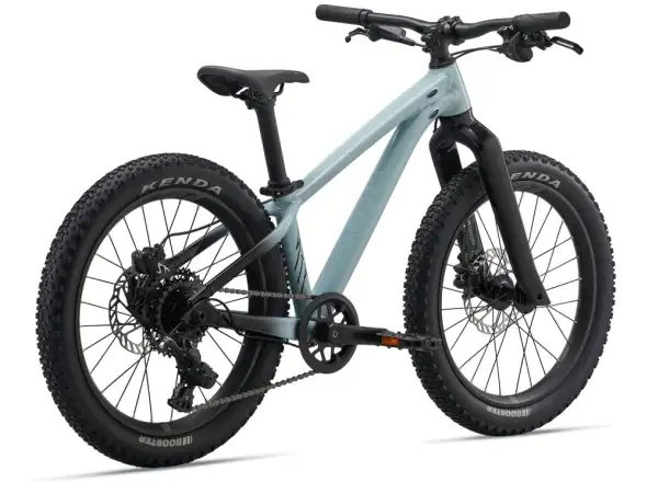 Liv STP 20 detský horský bicykel Soap Suds