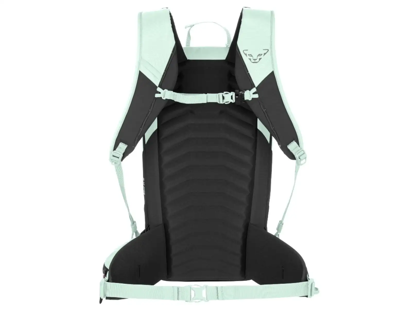 Dynafit Ridge dámsky batoh 24 l Jadelite/Black Out