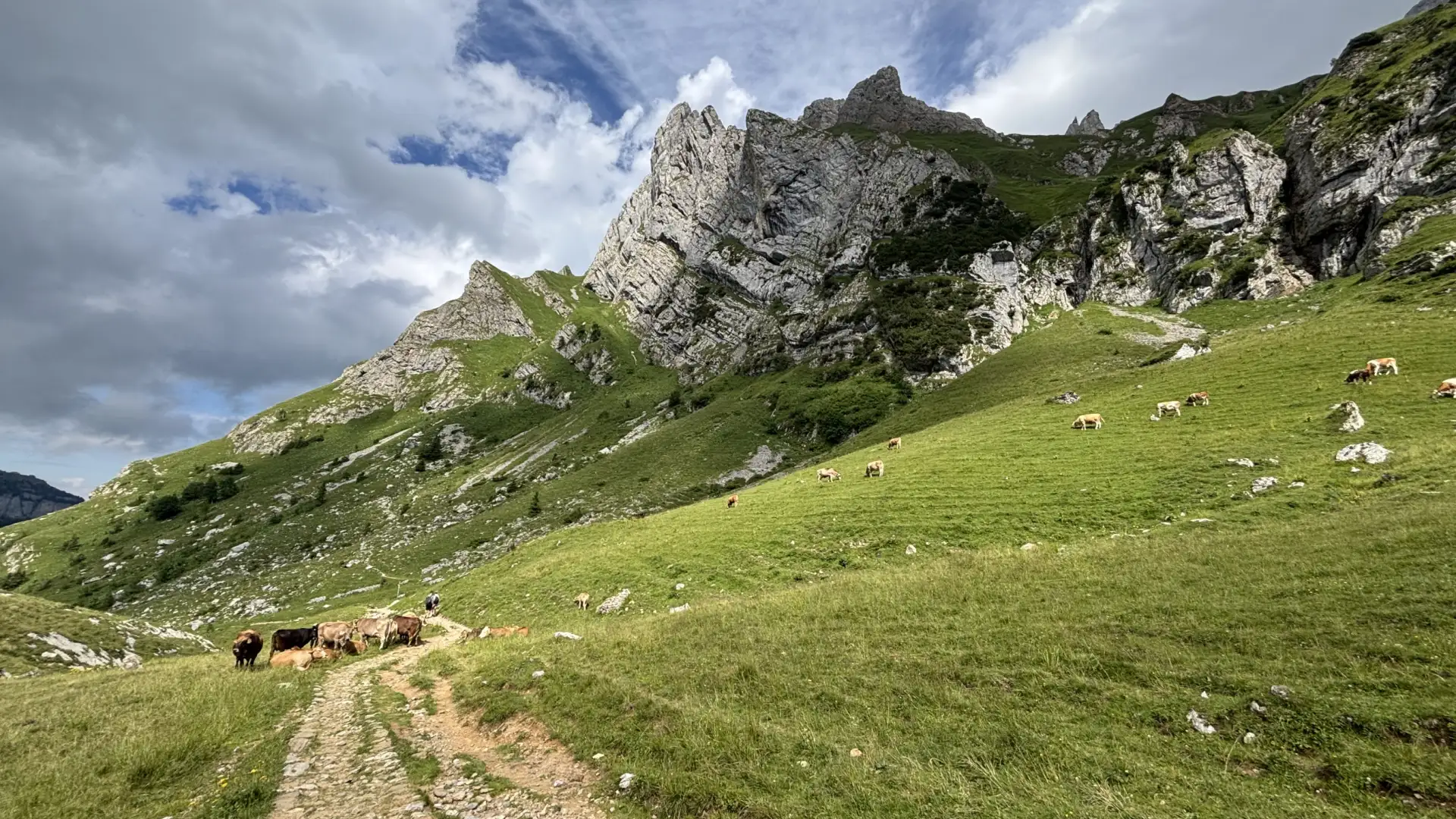 Švýcarská jezera a hory za jediný den: Objevte Seealpsee a Ebenalp