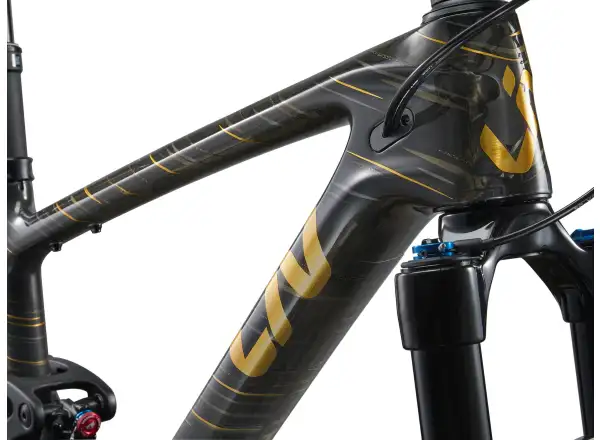 Liv Pique Advanced 29 1 horský bicykel Raw Carbon