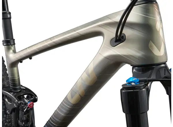 Liv Pique Advanced 29 2 horský bicykel Golden Haze