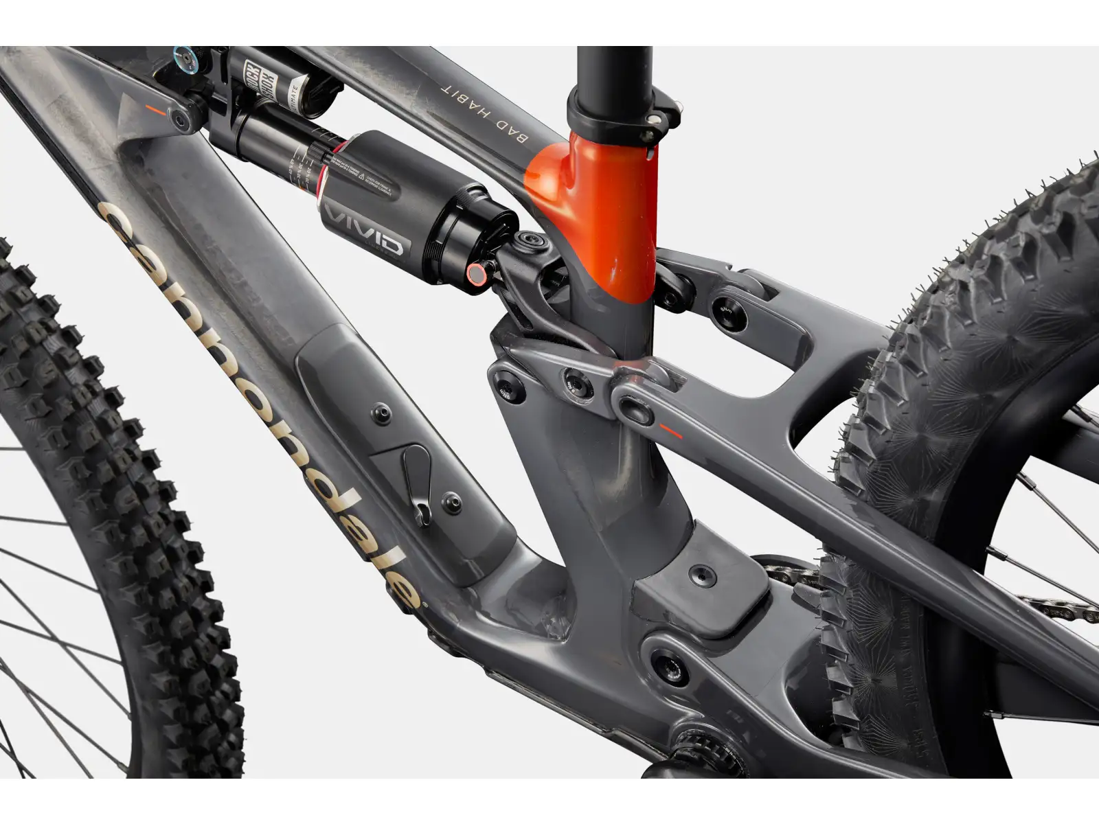 Cannondale Bad Habit 1 horský bicykel RAW Carbon