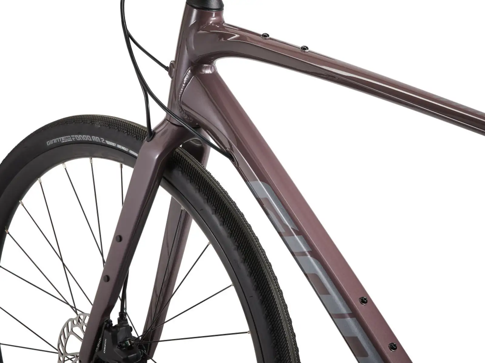 Giant FastRoad AR 3 fitness bicykel charcoal plum