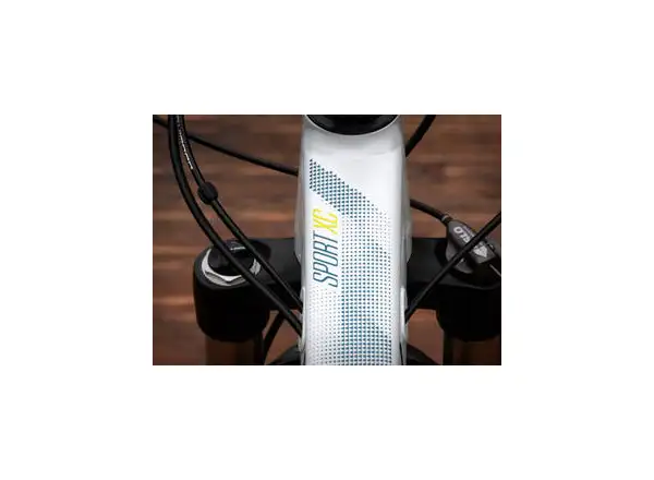 Horský bicykel Superior XC 889 W Gloss White/Blue/Lime