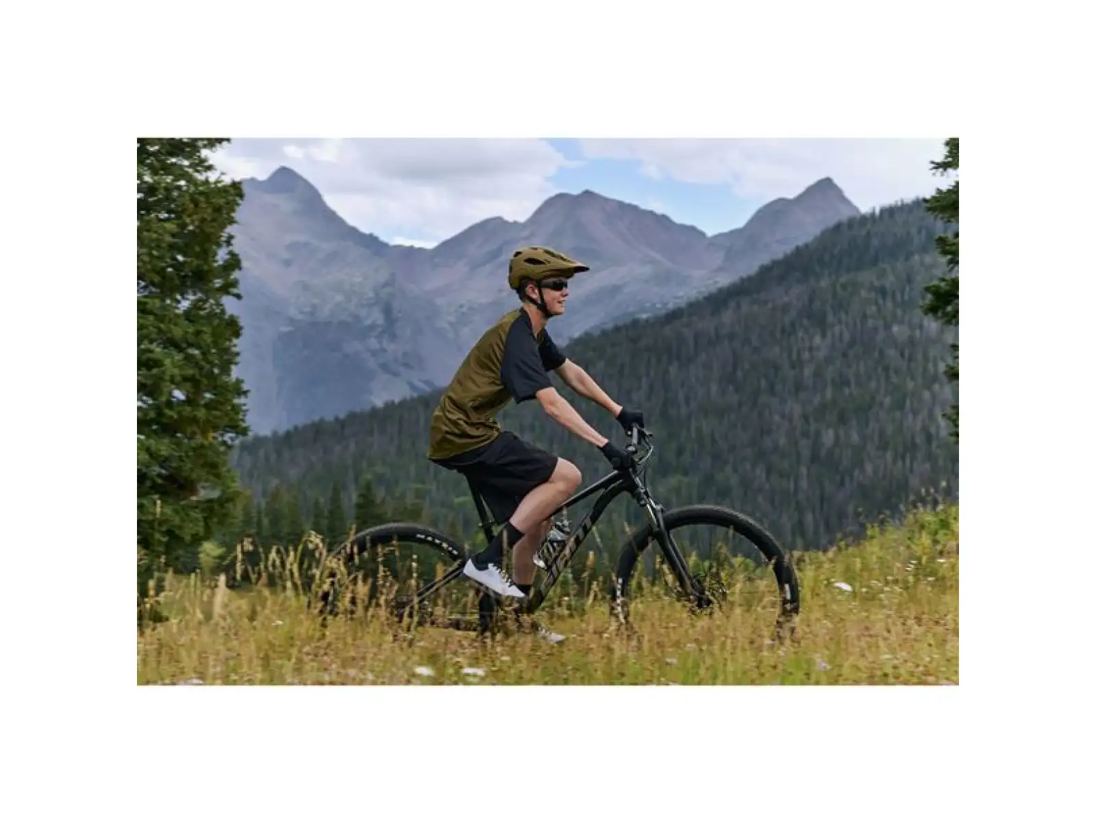 Giant Talon 29 3 horský bicykel Frost Silver