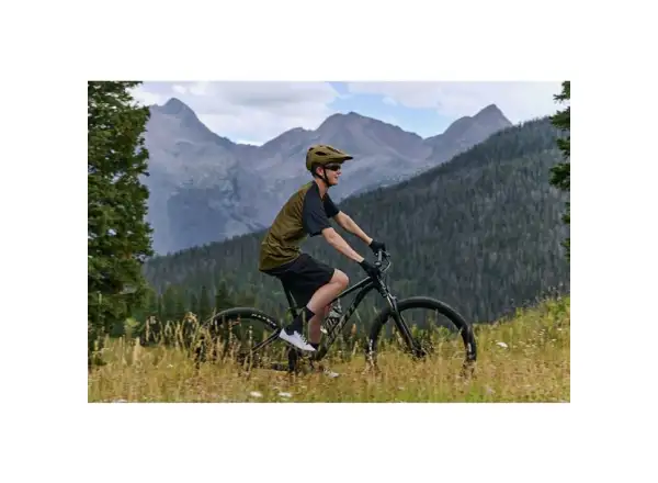 Giant Talon 29 3 horský bicykel Frost Silver